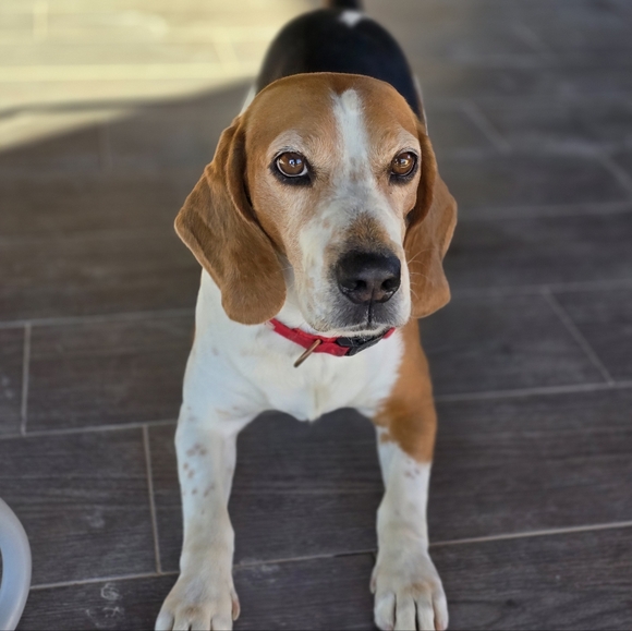 Meet your Posher, Jay - Picture 2 of 4